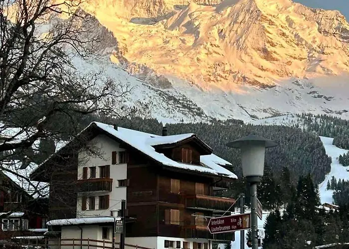 Appartement Cosy - Chalet Central