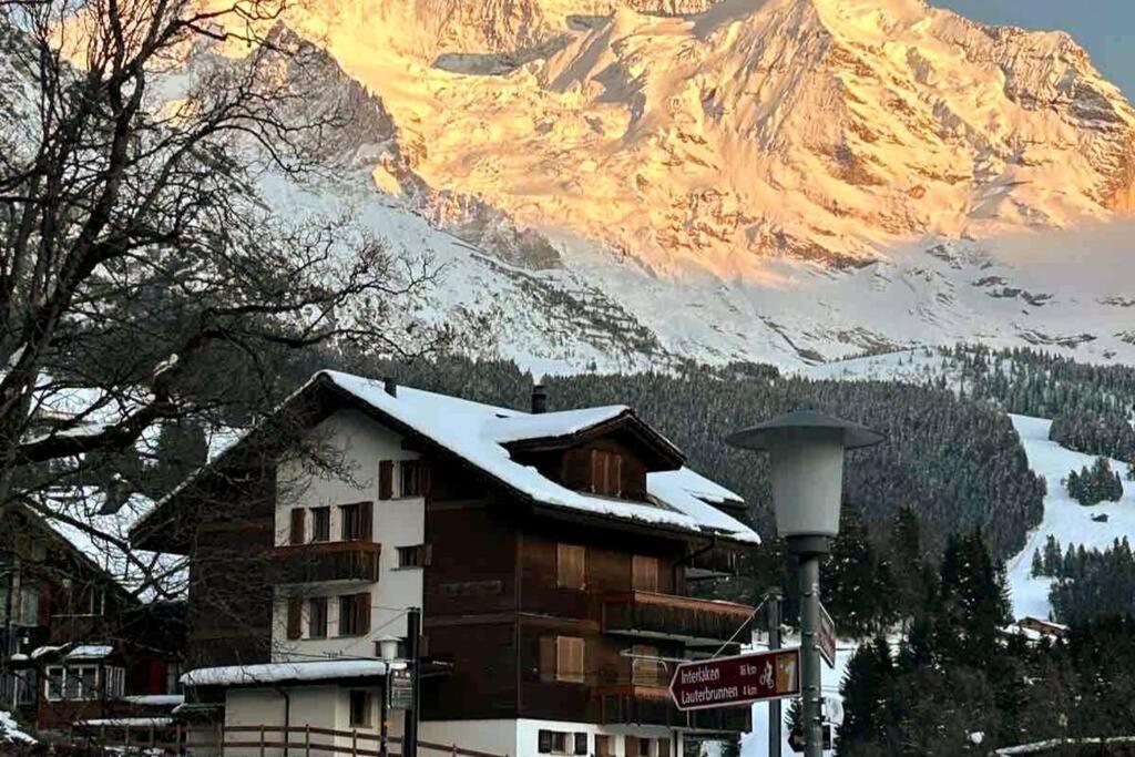 Cosy - * Wengen