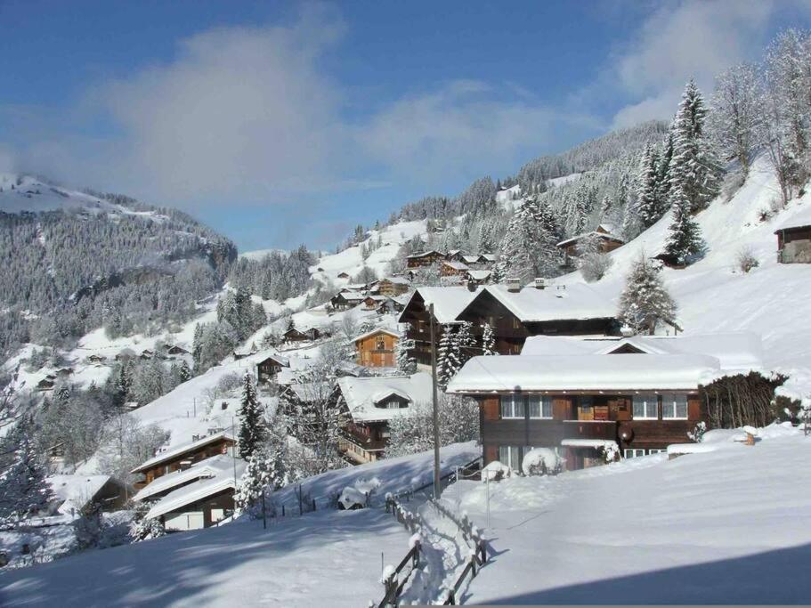 Cosy - Apartment Wengen